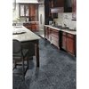 Msi Blue Pearl 12 In. X 12 In. Polished Granite Floor And Wall Tile, 5PK ZOR-NS-0049